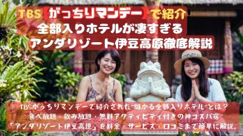 【がっちりマンデー紹介】全部入りホテルが凄すぎる｜アンダリゾート徹底解説